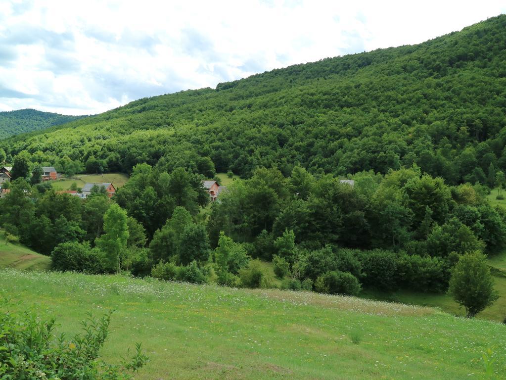 Apartment Luka Kuterevo Экстерьер фото